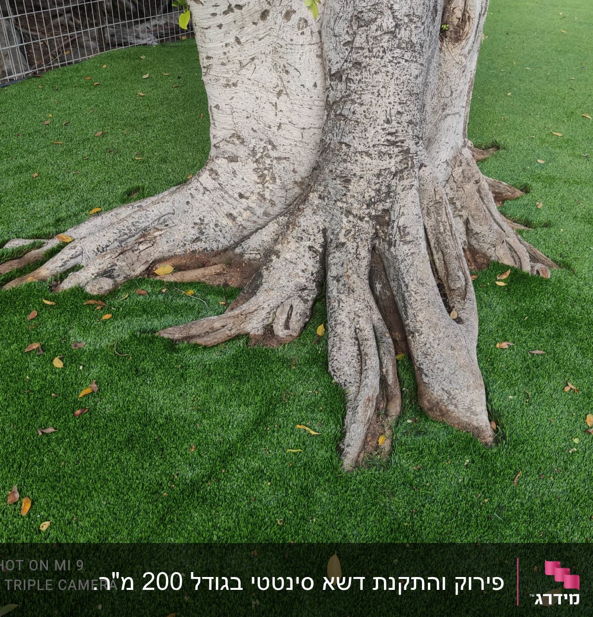 עץ עם שורשים על דשא מלאכותי